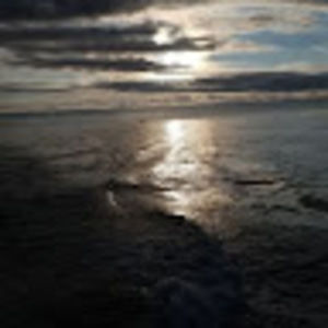 Meet your Posher, Diontae